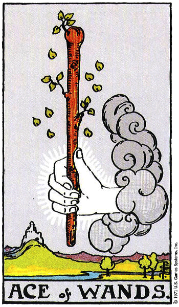 THE ACE OF WANDS